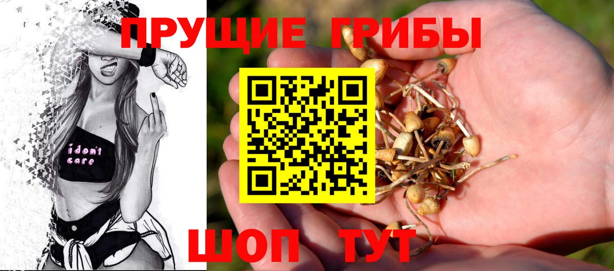 закладка  Вход с VPN  Дедовск  Галлюциногенные грибы Magic Shrooms 