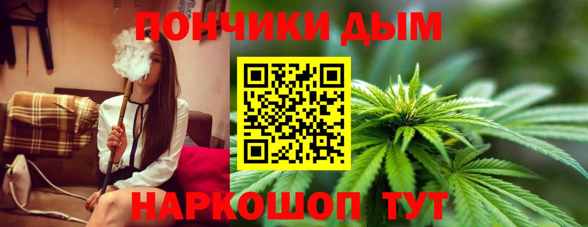 Бошки Шишки сатива Дедовск